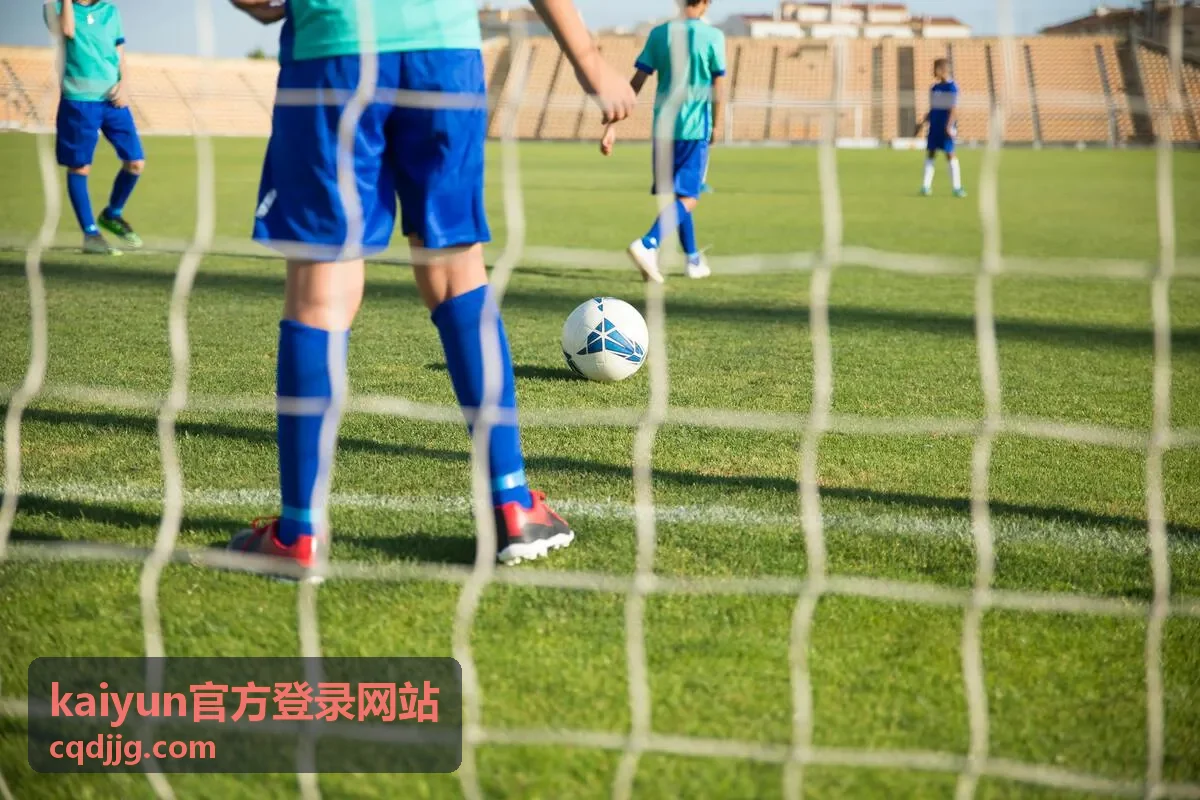 kaiyun官方登录网站平台服务概览示意图