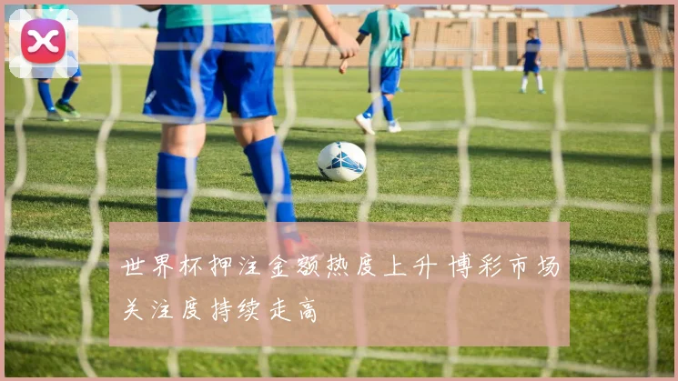 世界杯押注金额热度上升 博彩市场关注度持续走高