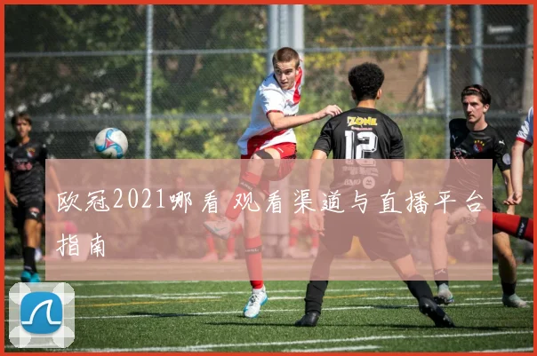 欧冠2021哪看 观看渠道与直播平台指南